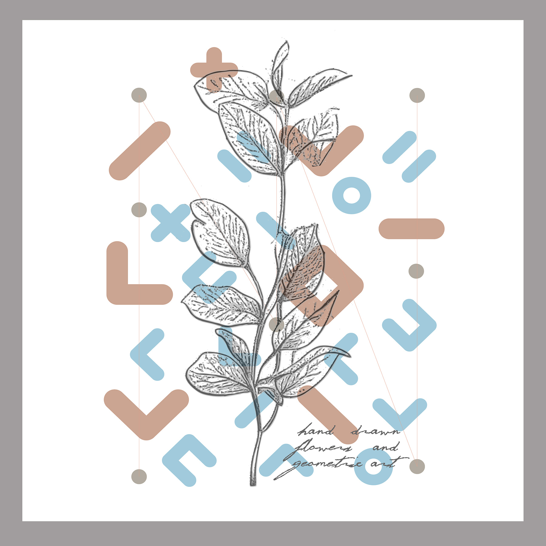 A drawing of a plant A drawing of a plant