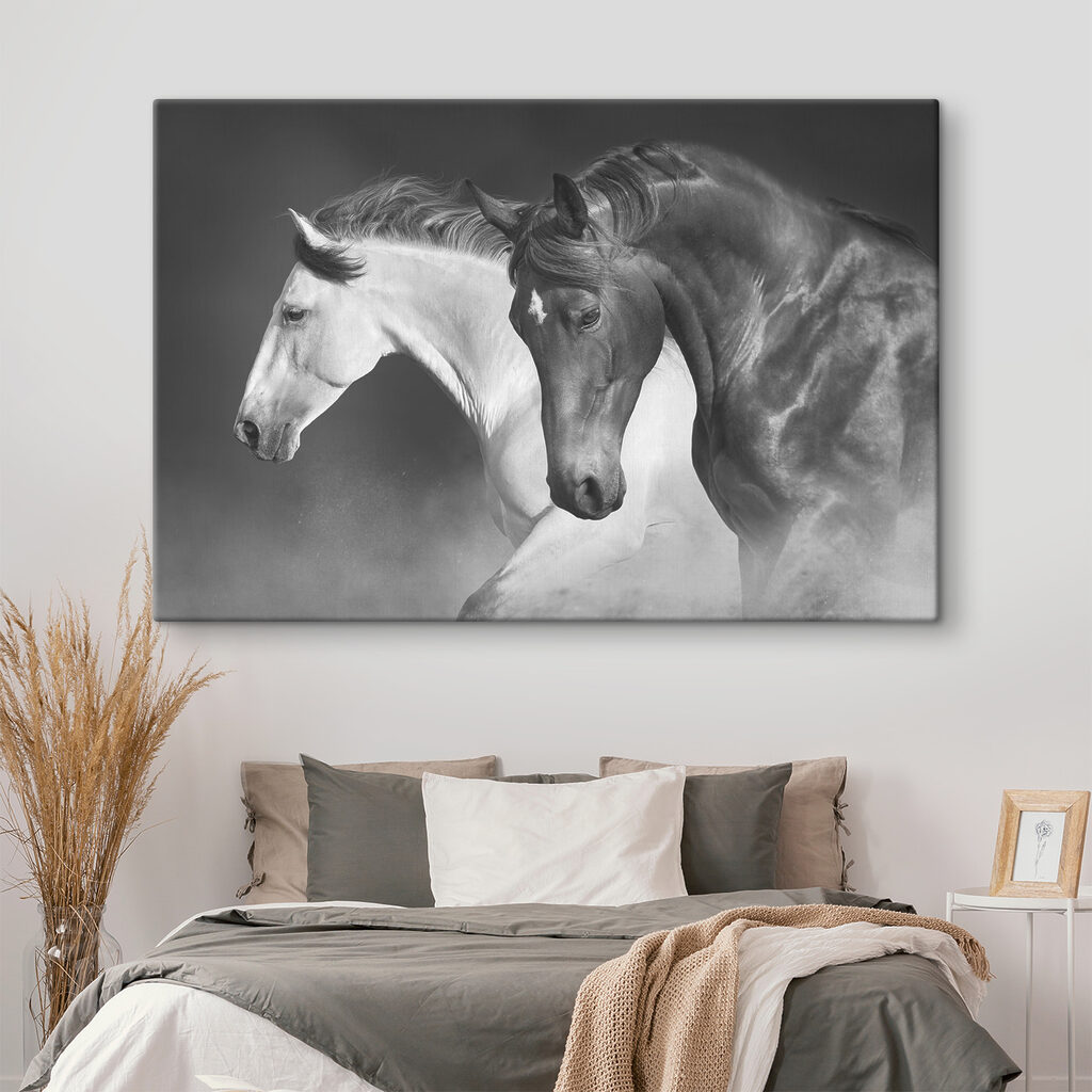 A couple of horses running A couple of horses running