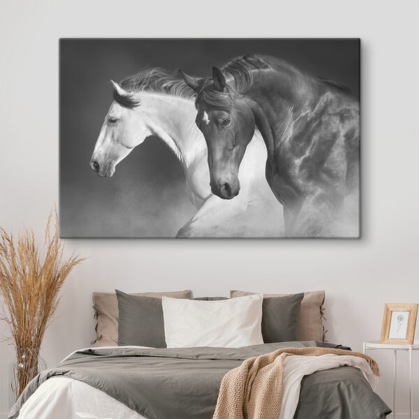 A couple of horses running A couple of horses running
