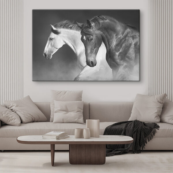 A couple of horses running A couple of horses running