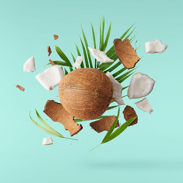A coconut and palm leaves