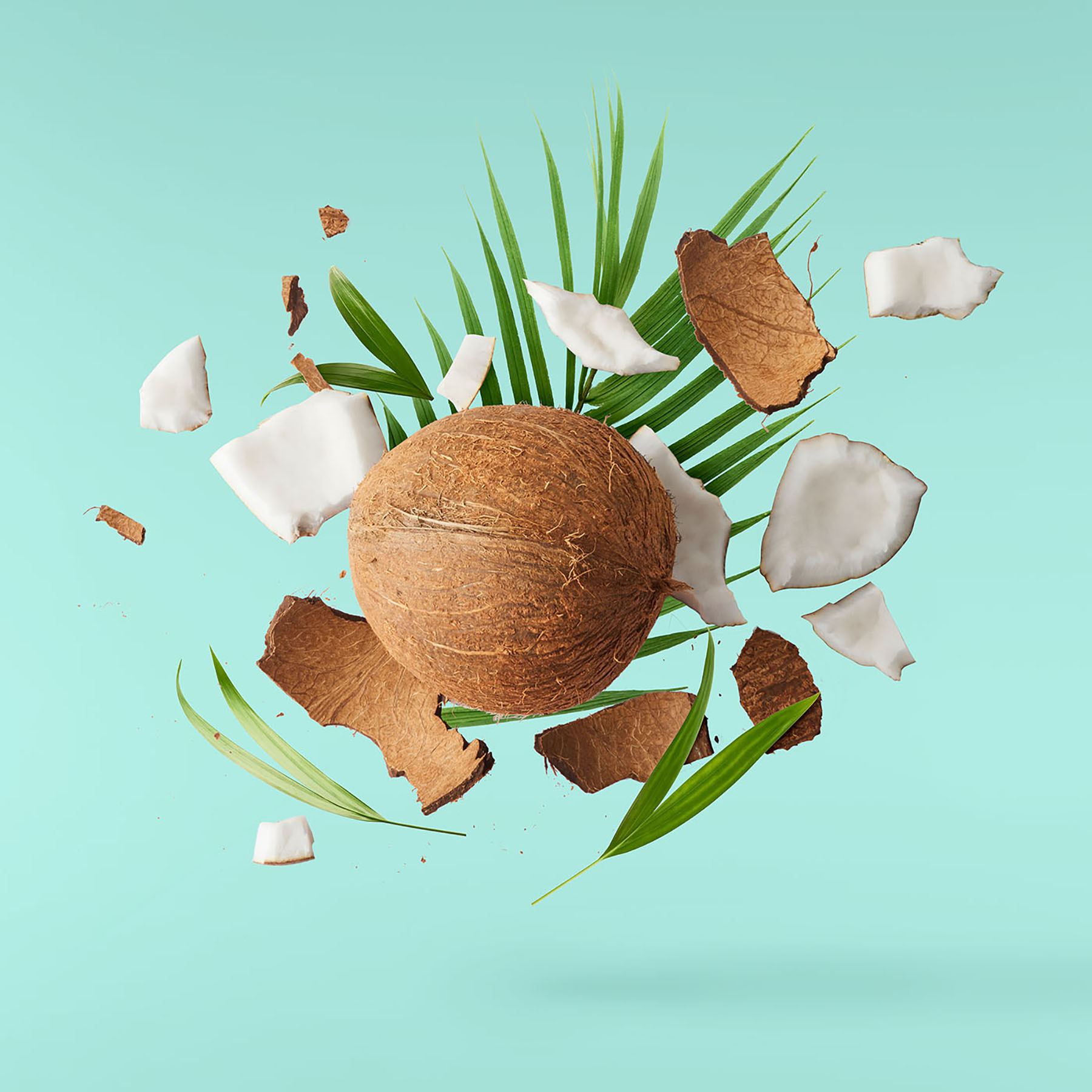 A coconut and palm leaves