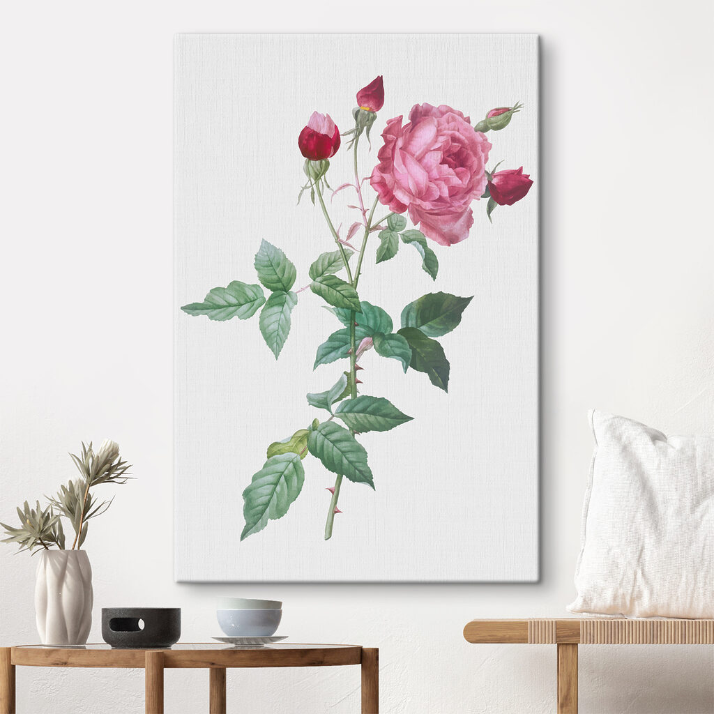 A pink rose with green leaves