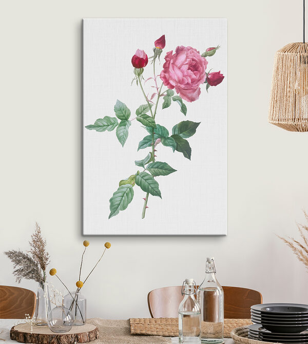 A pink rose with green leaves