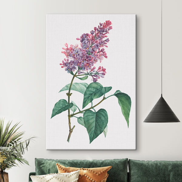 Cuadros Un primer plano de una flor