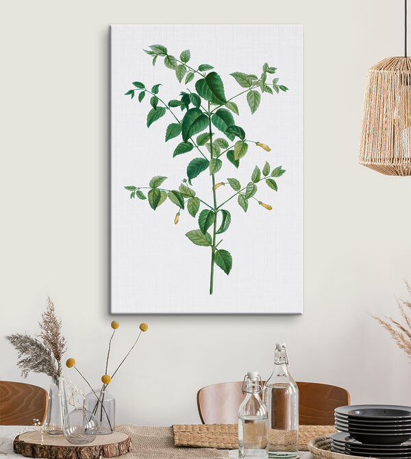 A plant with leaves and flowers A plant with leaves and flowers
