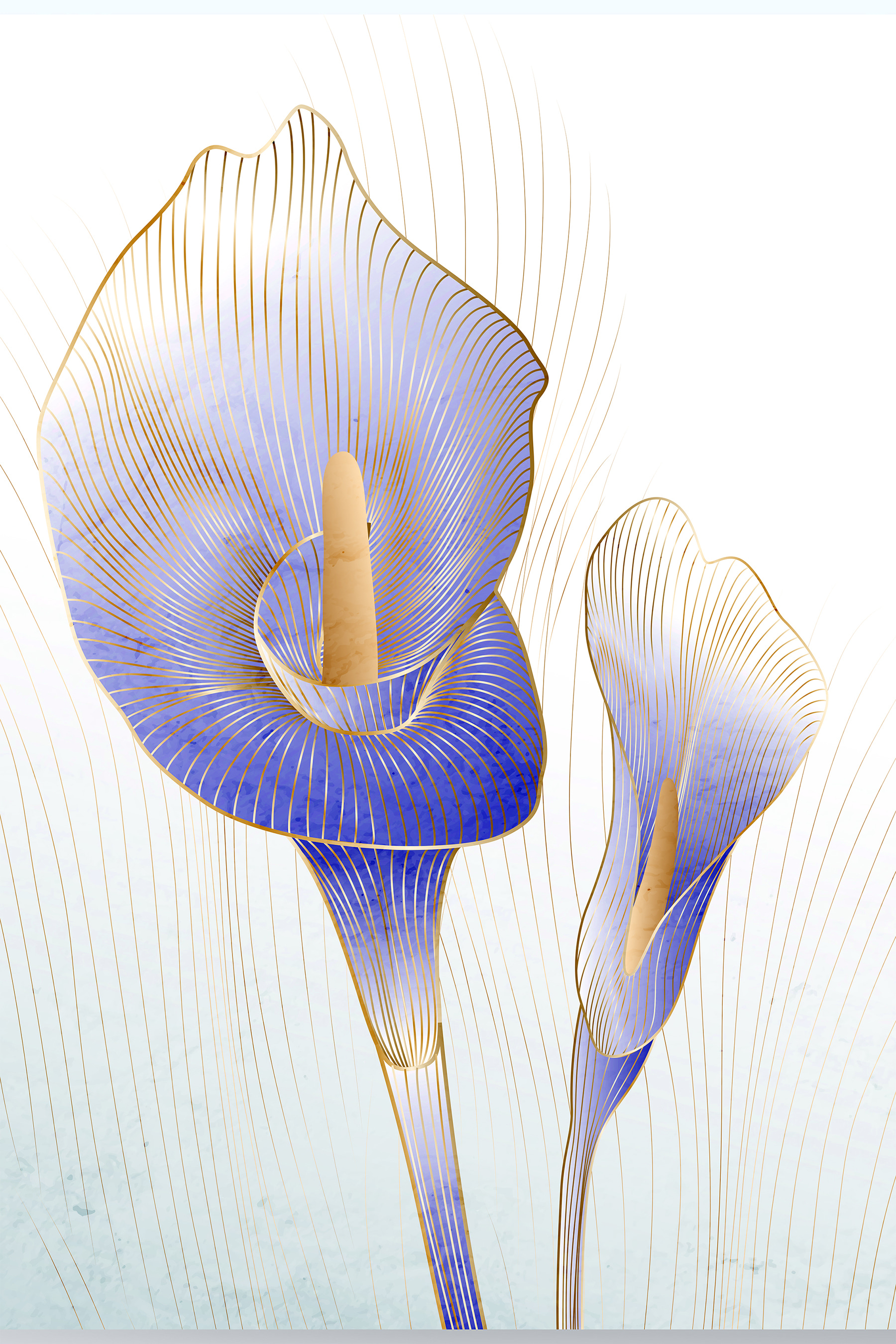 Elegant blue calla lilies in bloom