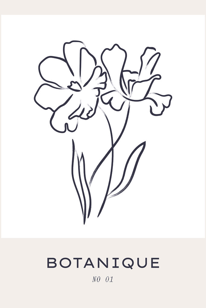 A drawing of flowers on a white background