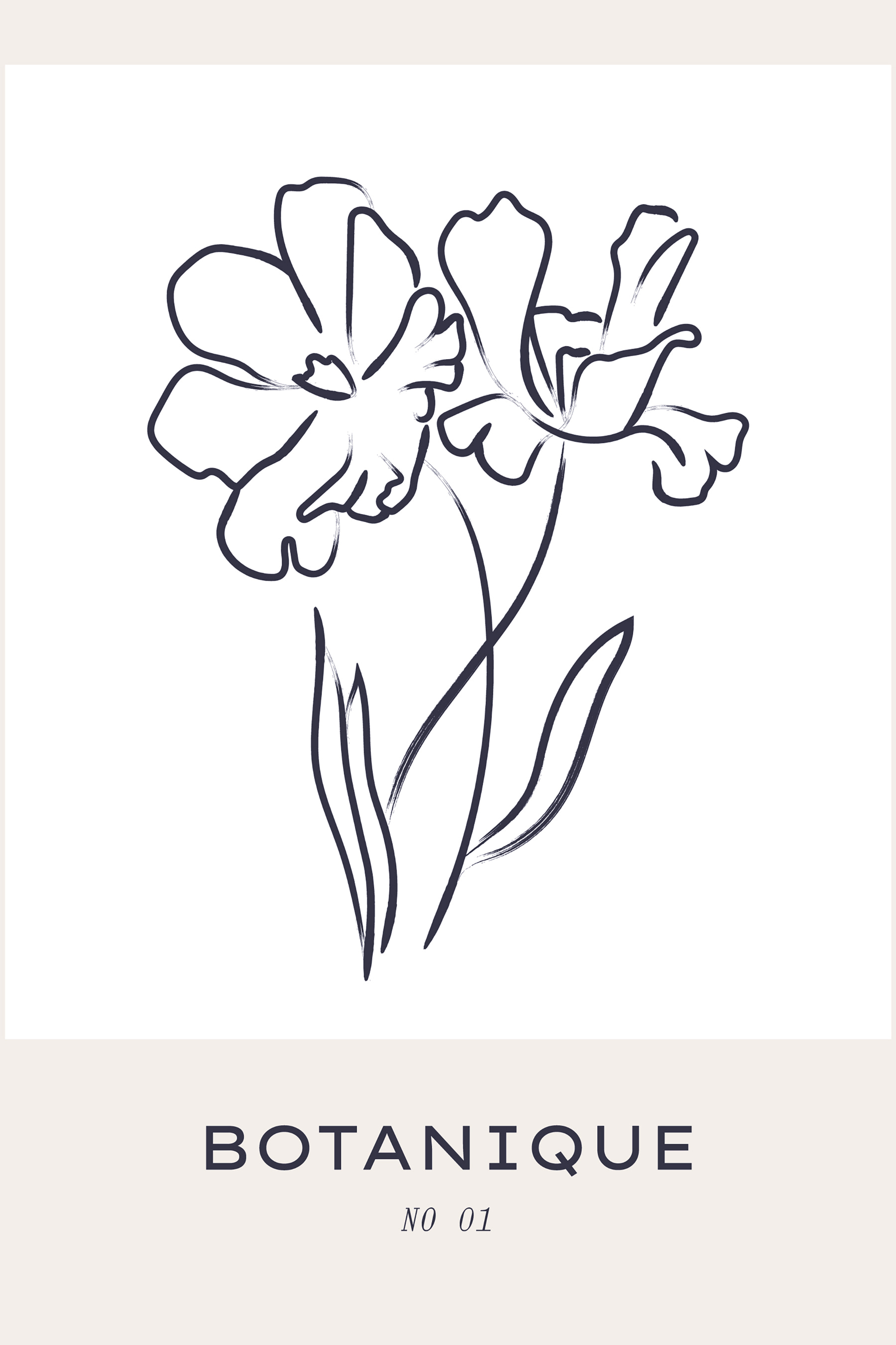 A drawing of flowers on a white background
