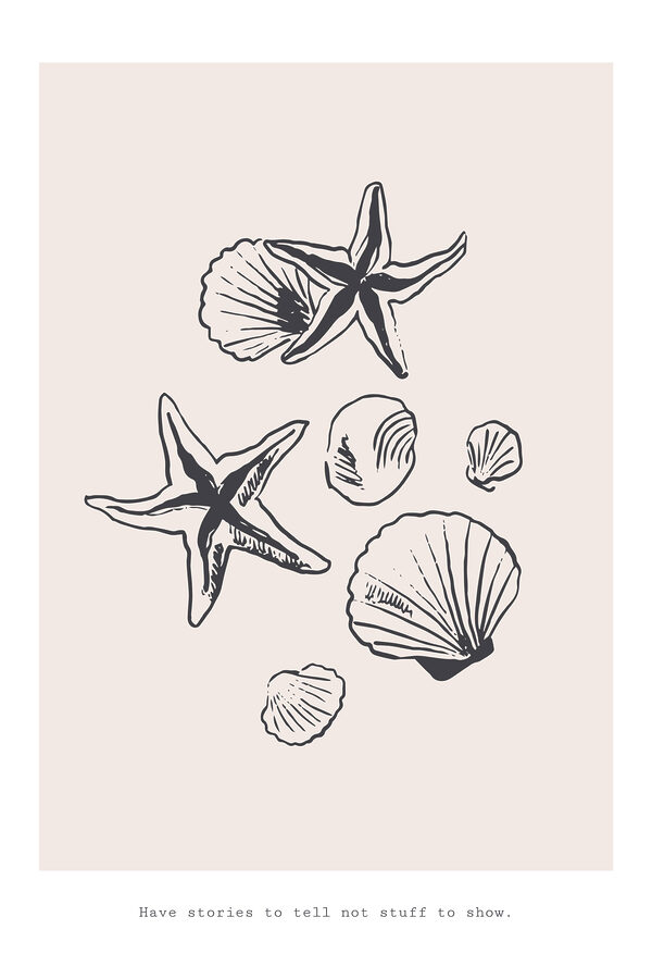 A group of seashells and starfish