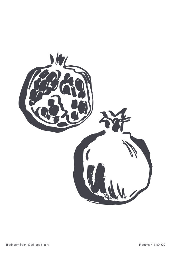 A drawing of a pomegranate
