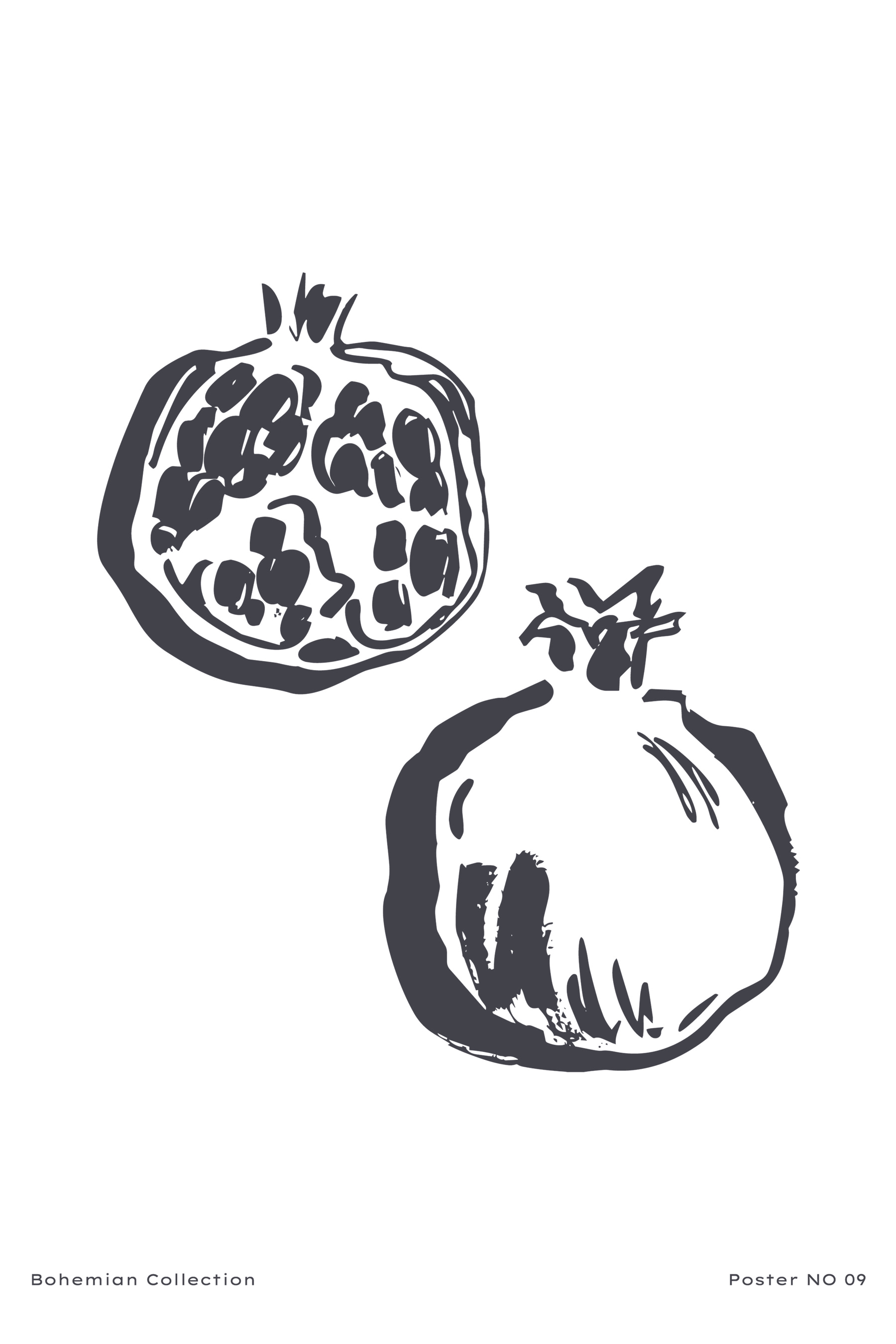 A drawing of a pomegranate