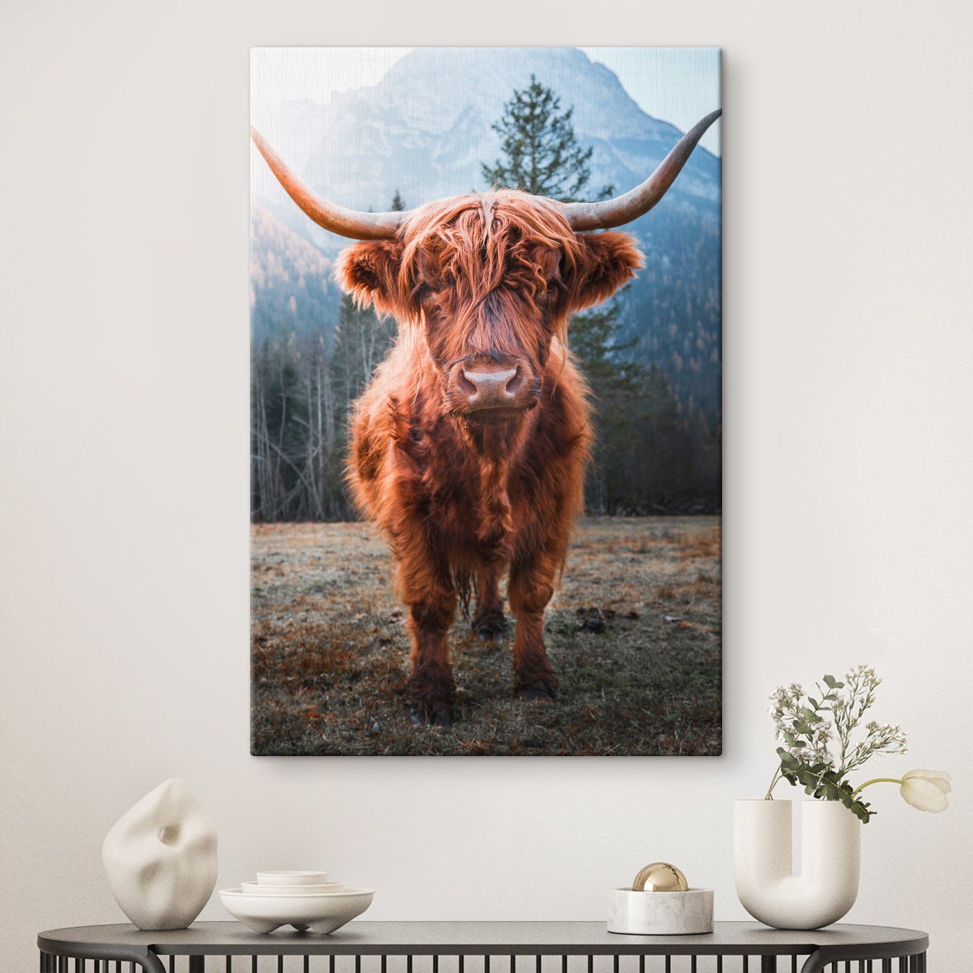 A yak with long horns standing in a field A yak with long horns standing in a field