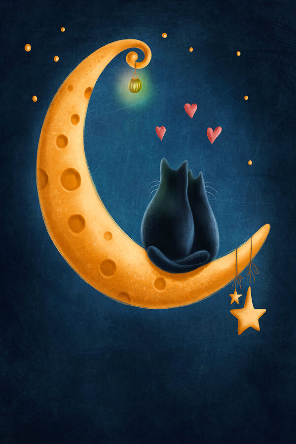 A cat sitting on the moon