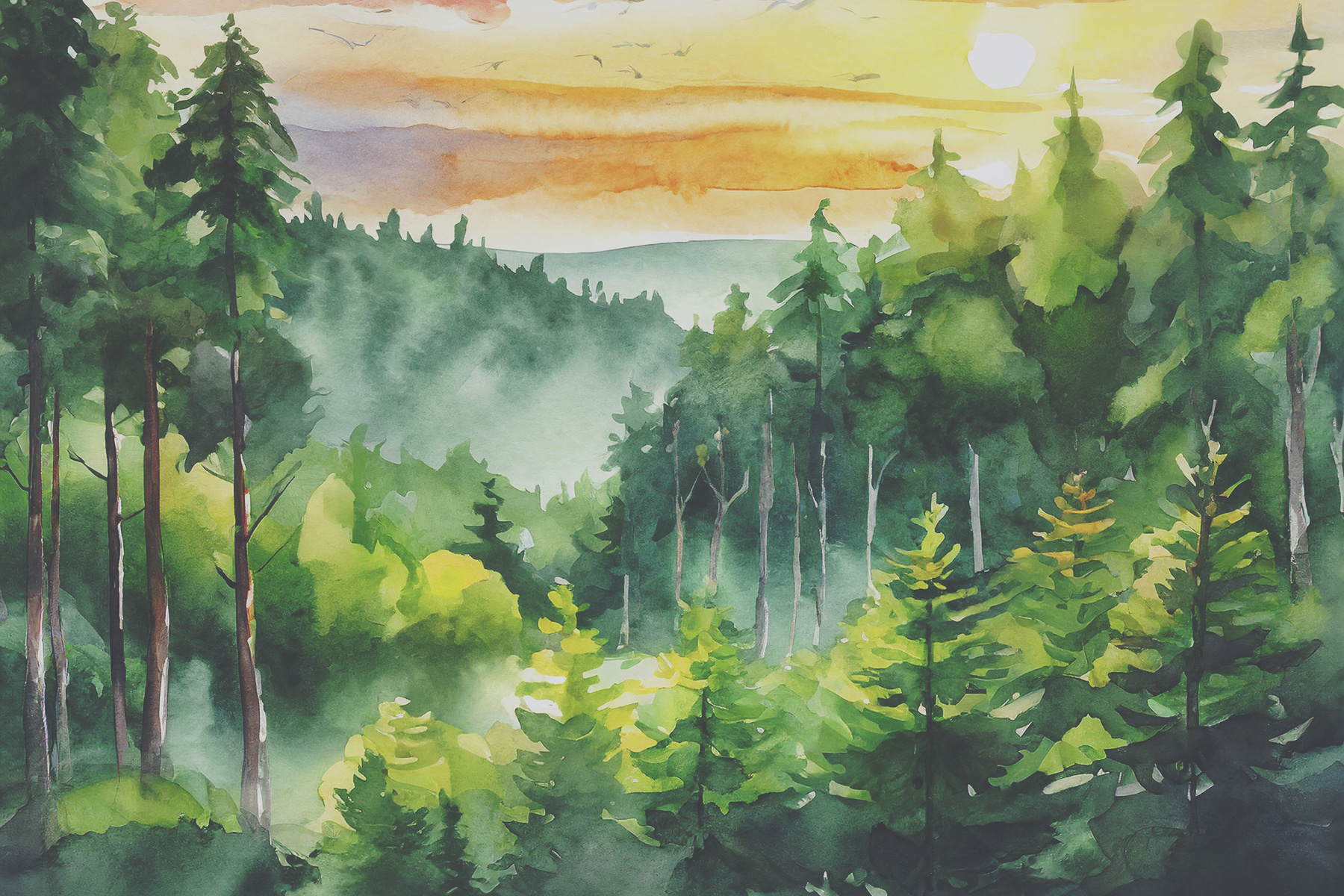 A watercolor painting of a forest A watercolor painting of a forest