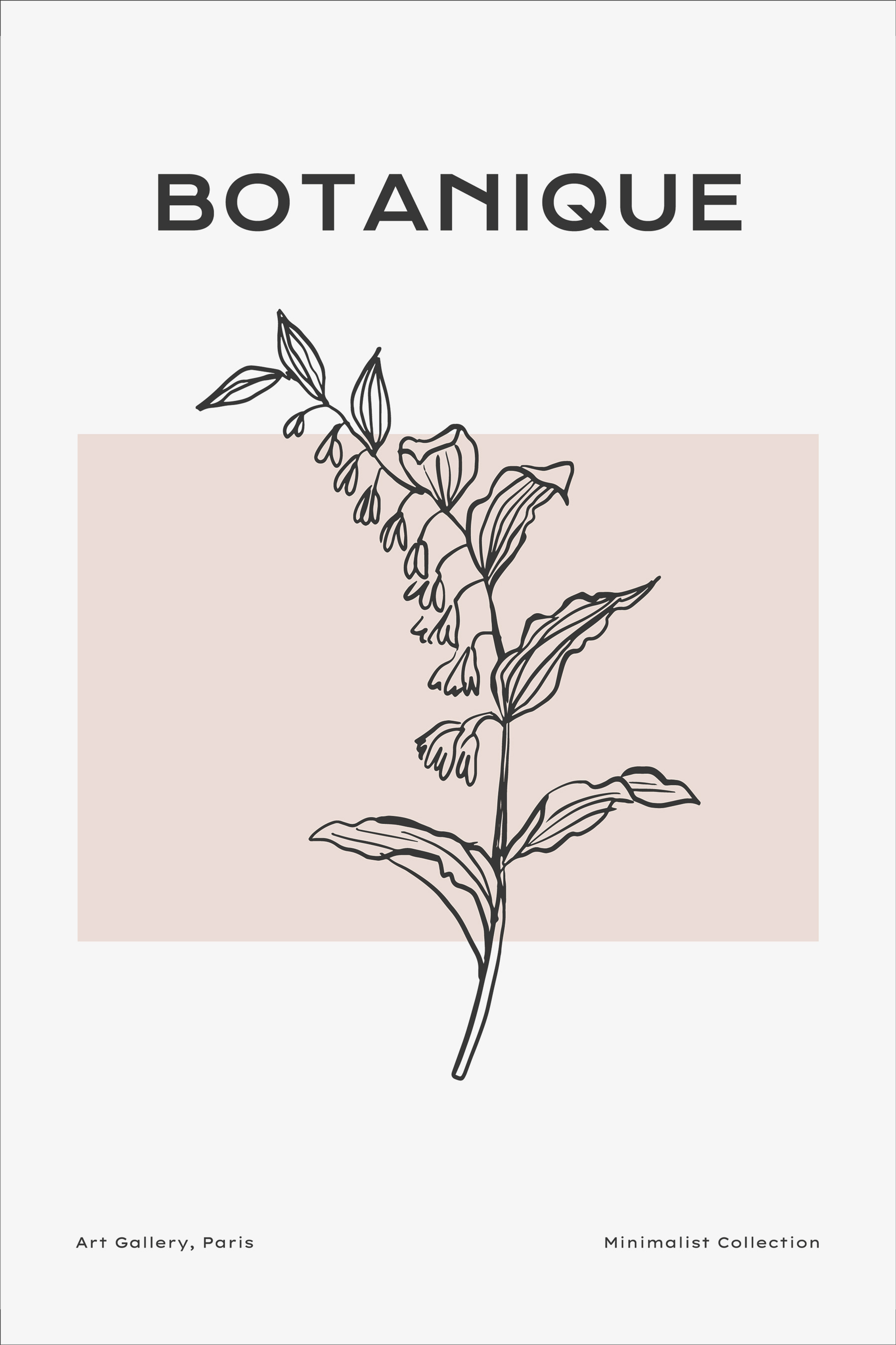A drawing of a plant