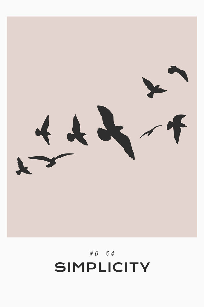A flock of birds flying