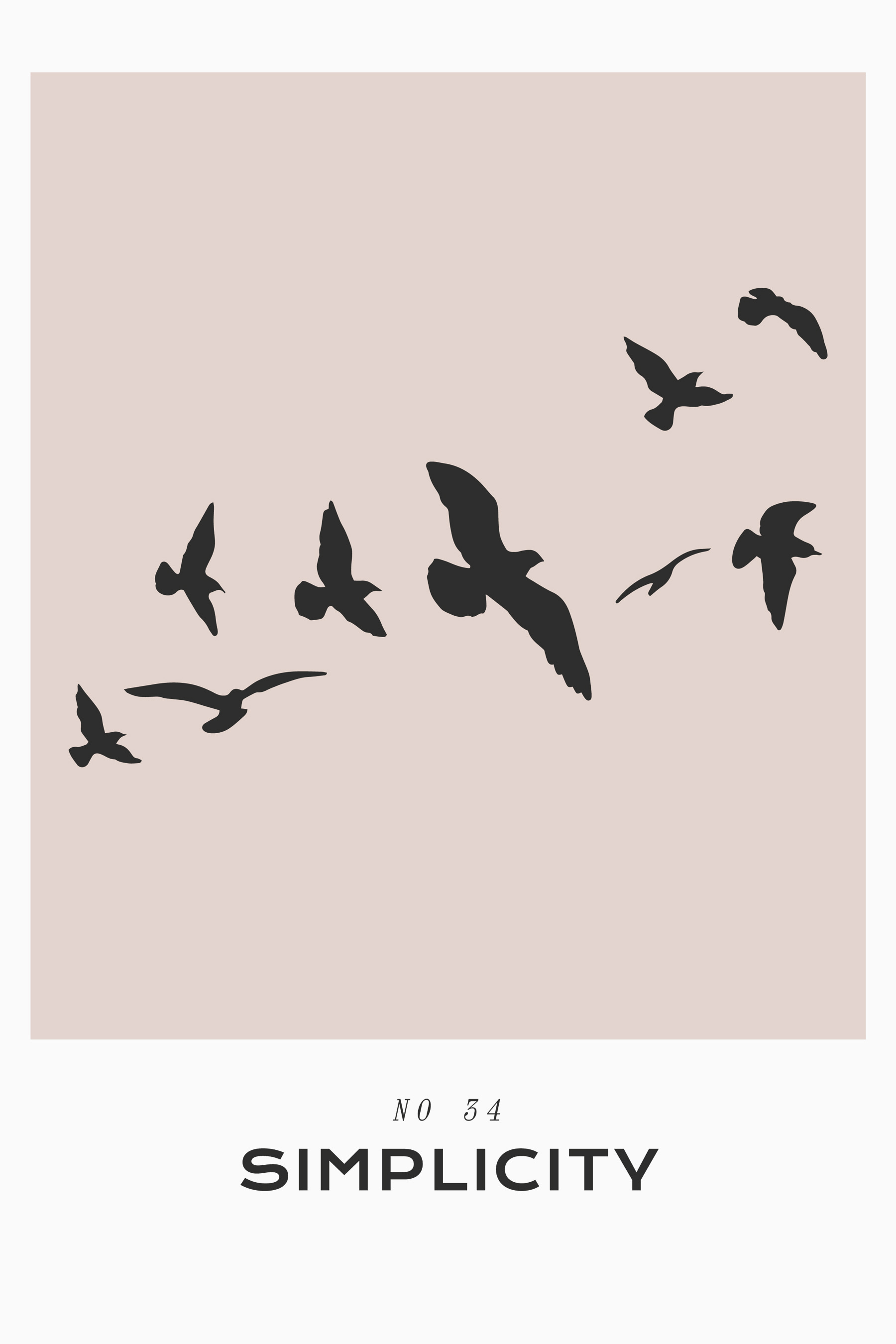 A flock of birds flying