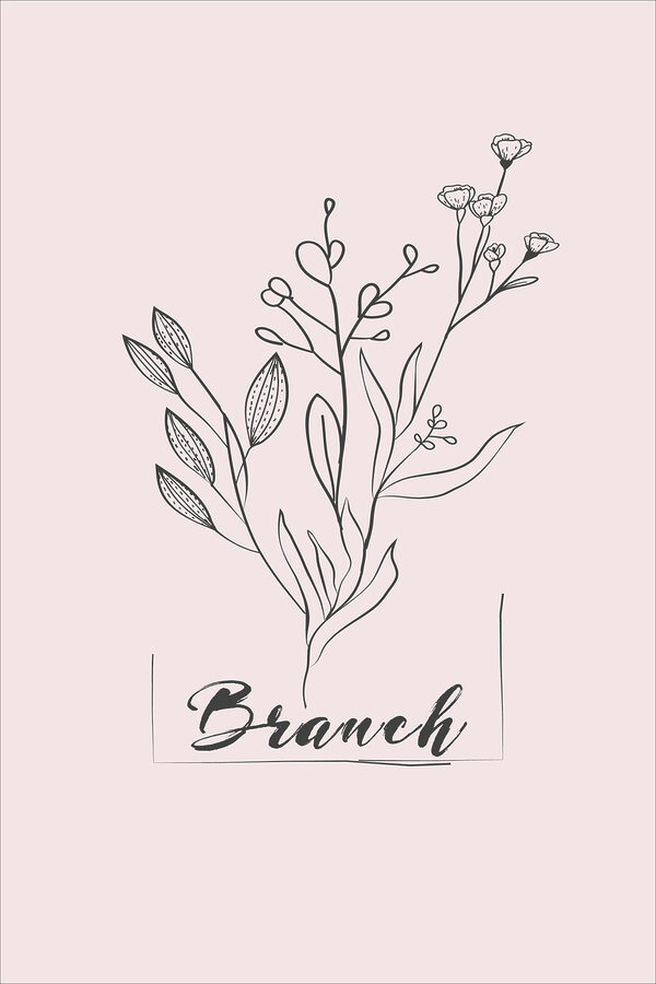 A drawing of a plant A drawing of a plant