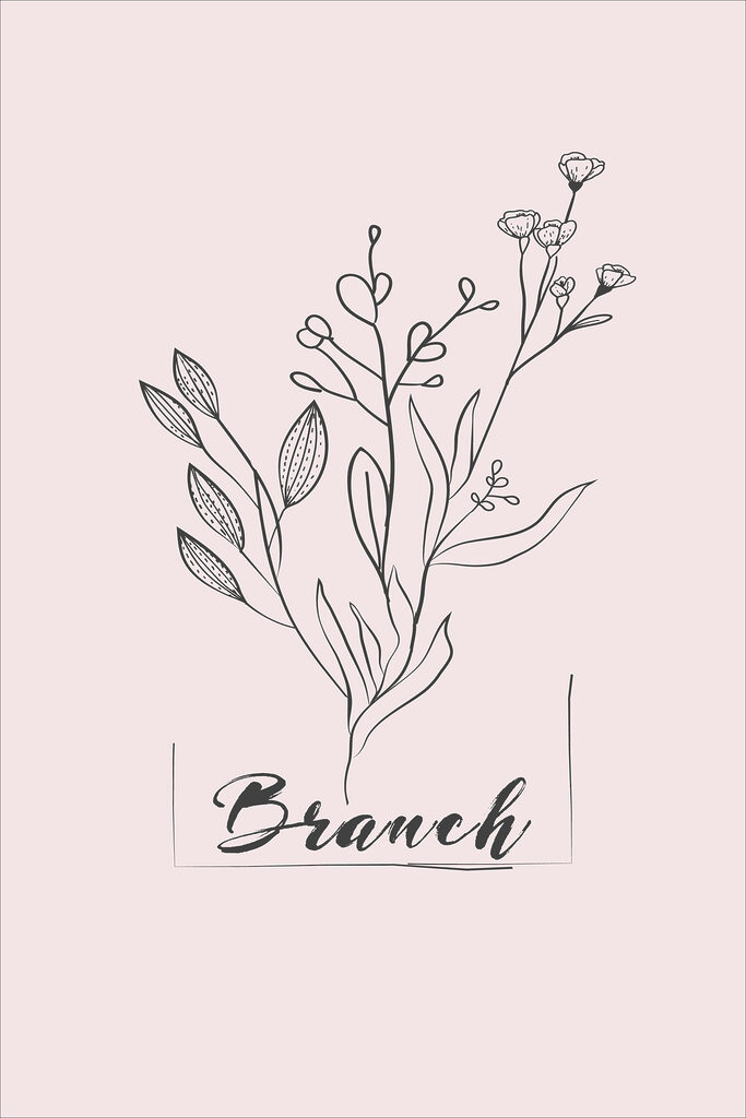 A drawing of a plant A drawing of a plant