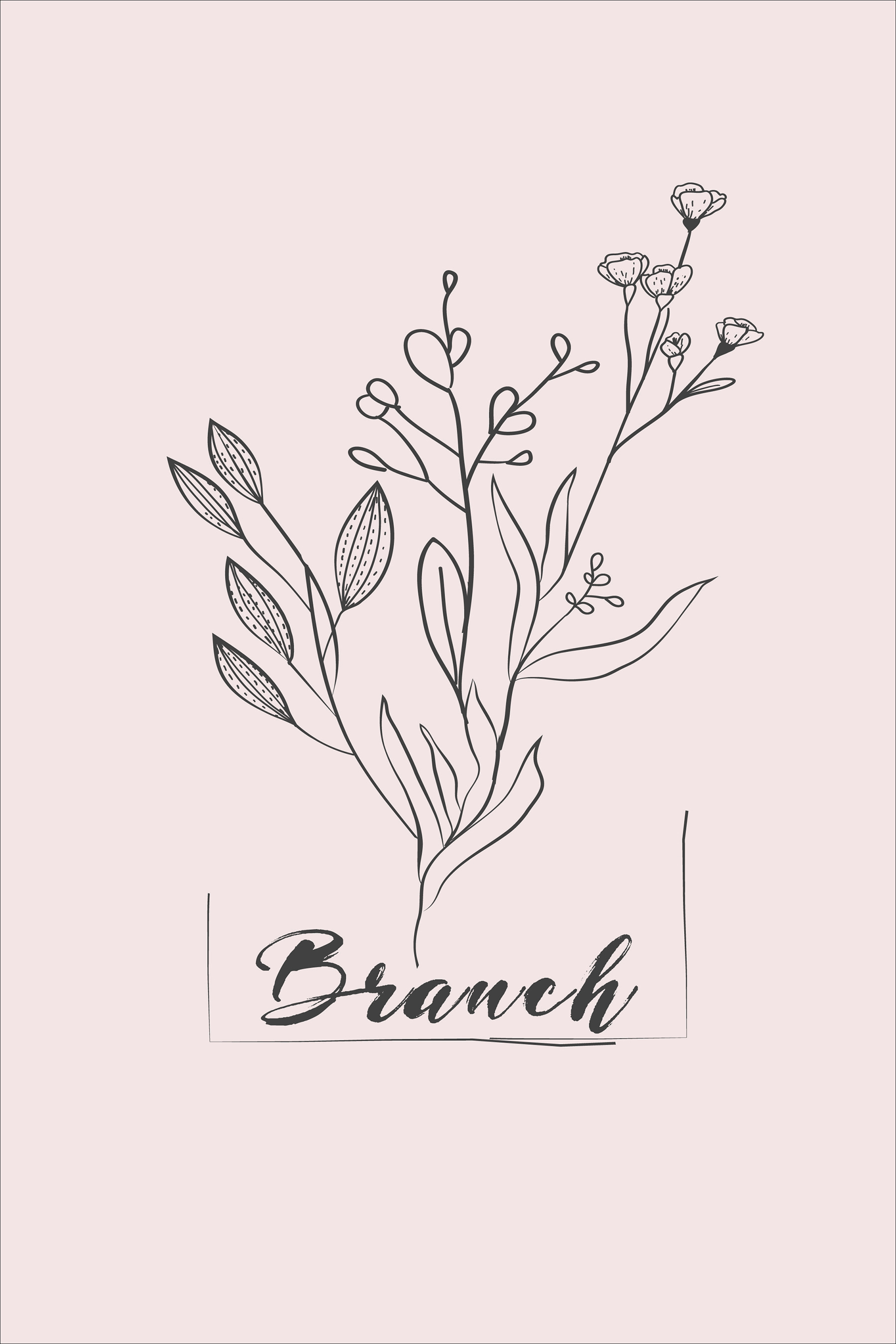 A drawing of a plant A drawing of a plant
