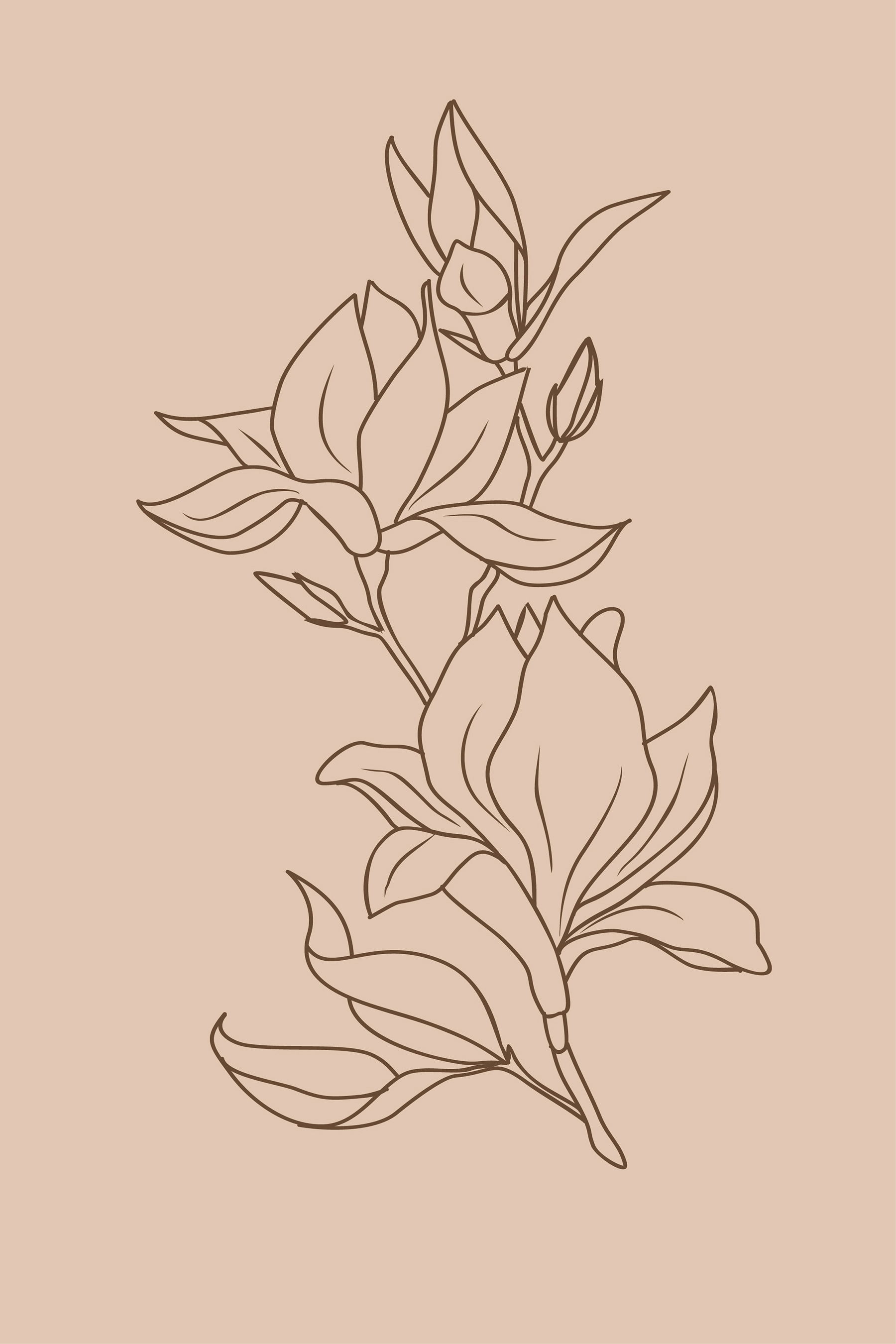 A drawing of a flower
