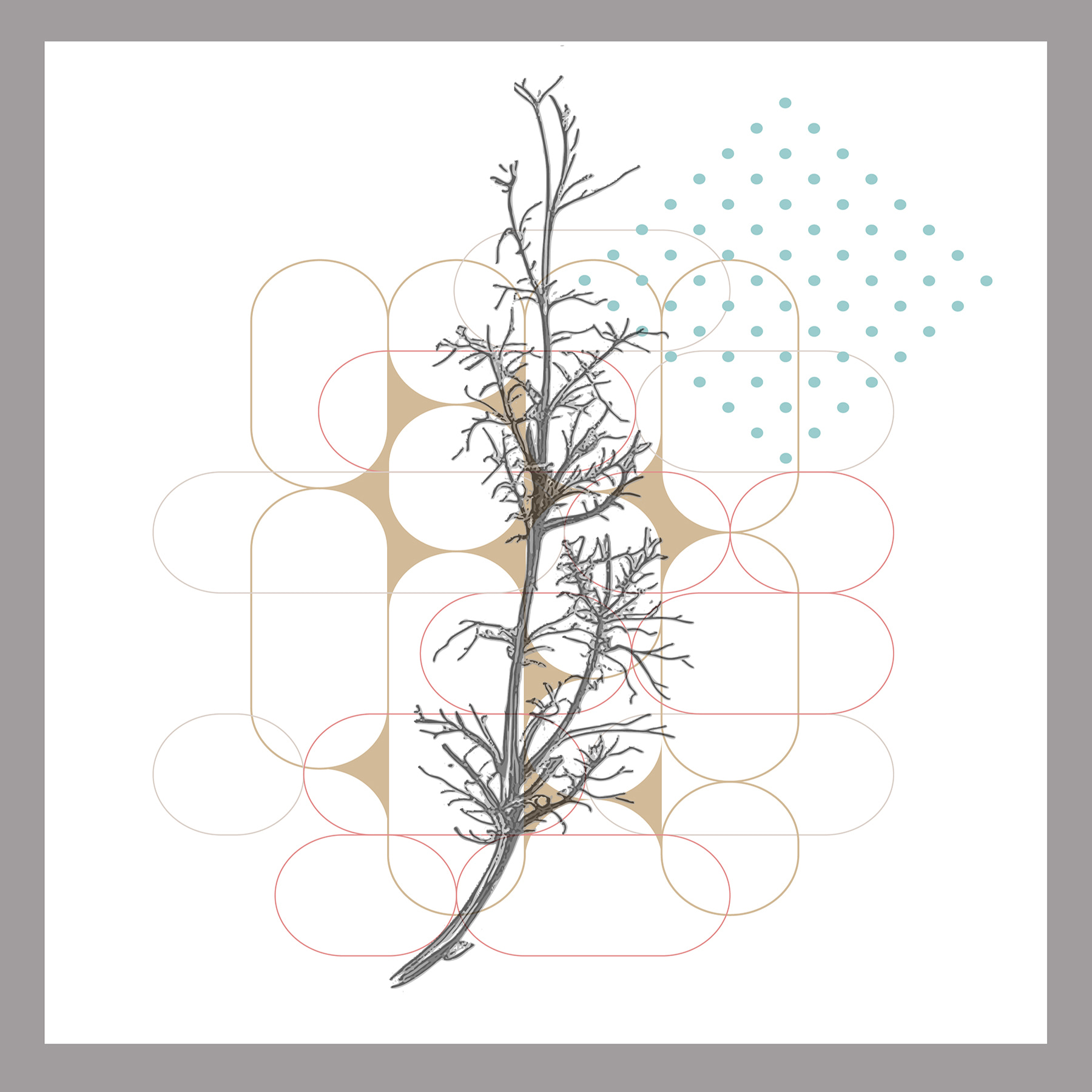 A drawing of a branch with leaves