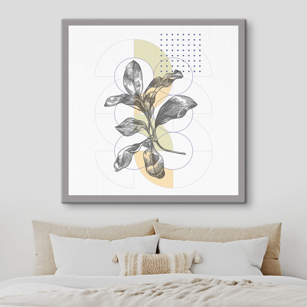 A plant with leaves on a white background