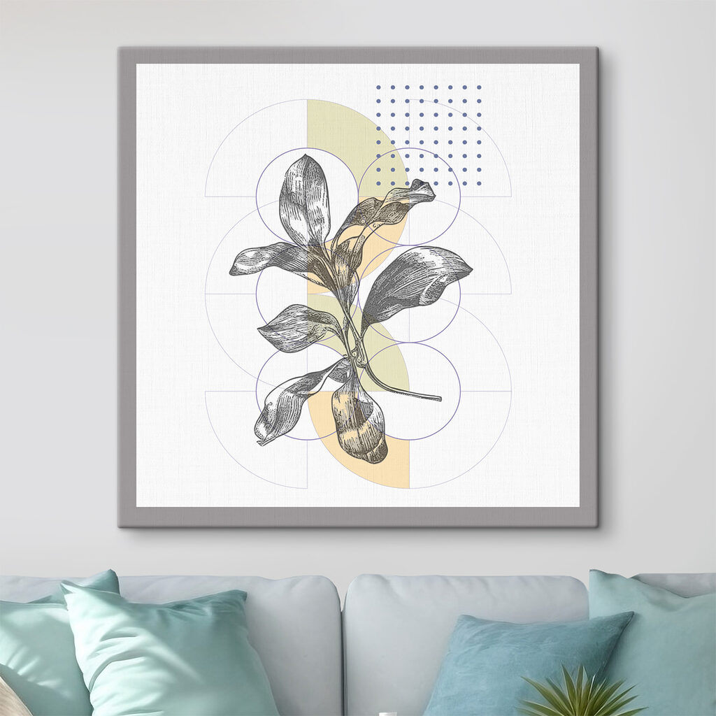 A plant with leaves on a white background