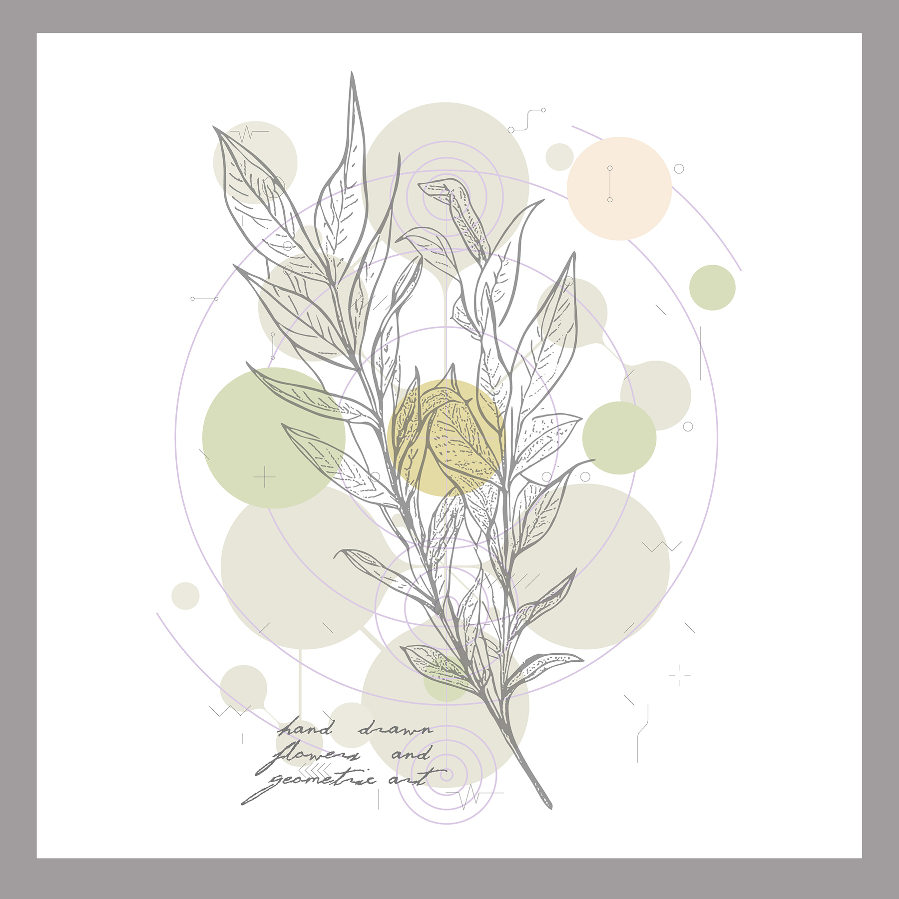 A drawing of a plant A drawing of a plant