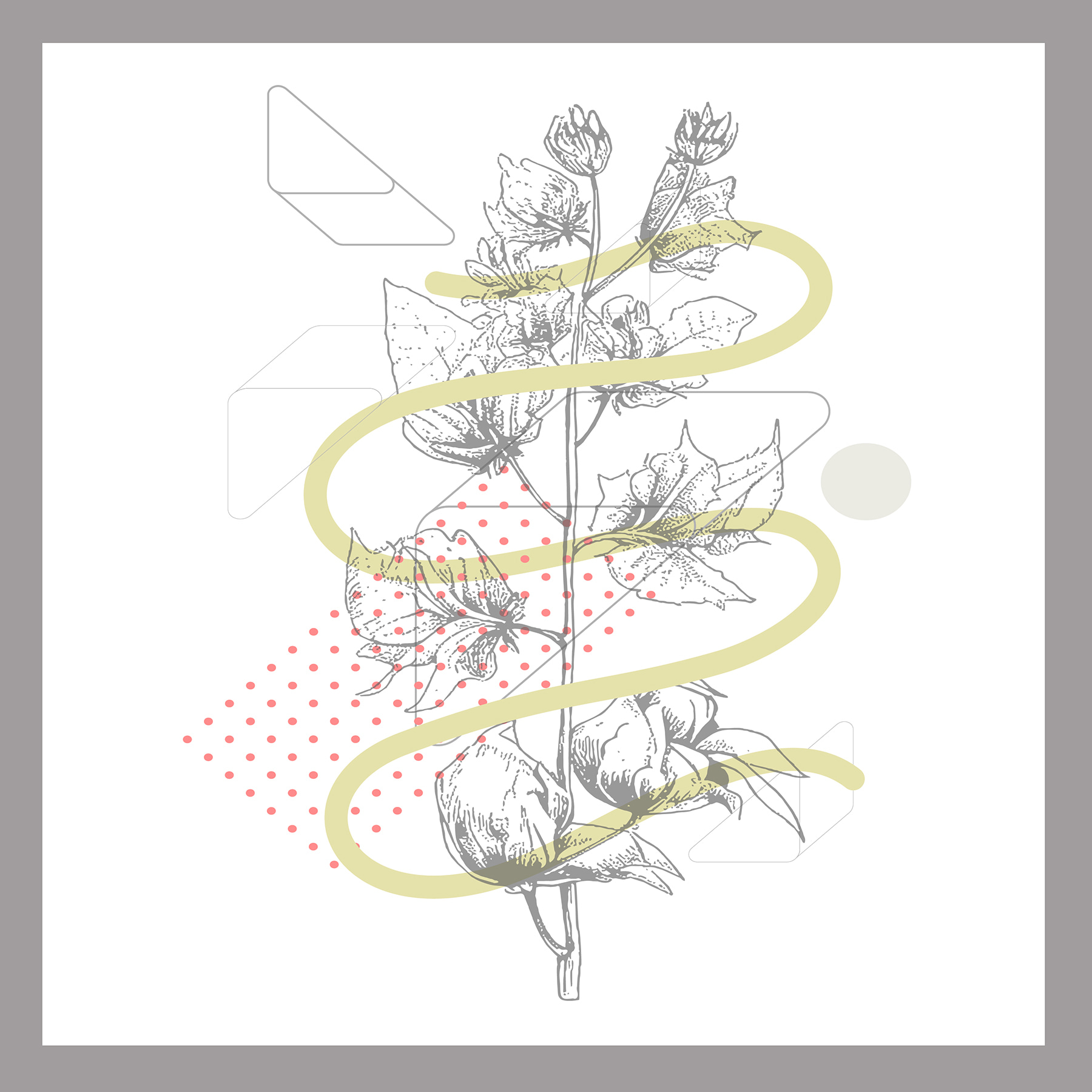 A drawing of a plant A drawing of a plant