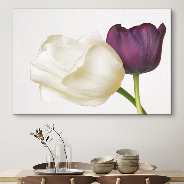 Cuadros Una flor blanca y morada