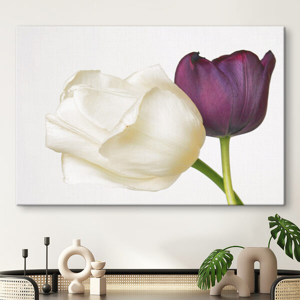 A white and purple flower A white and purple flower