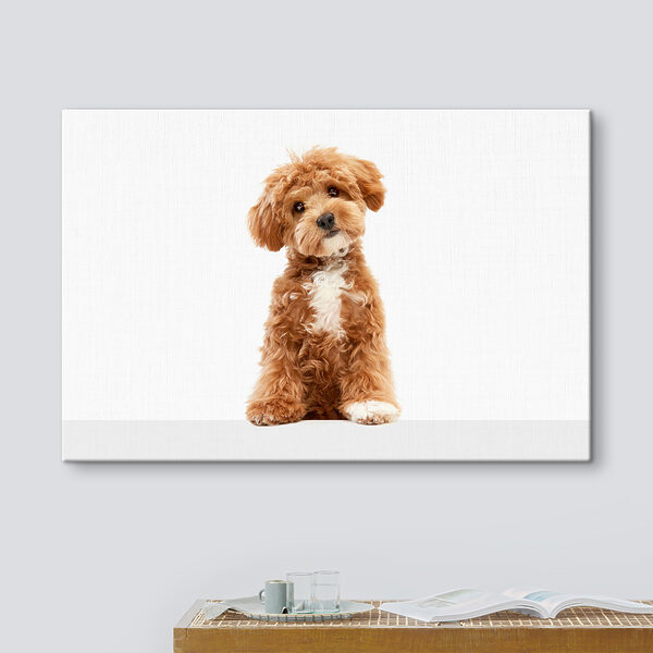 A dog sitting on a white surface