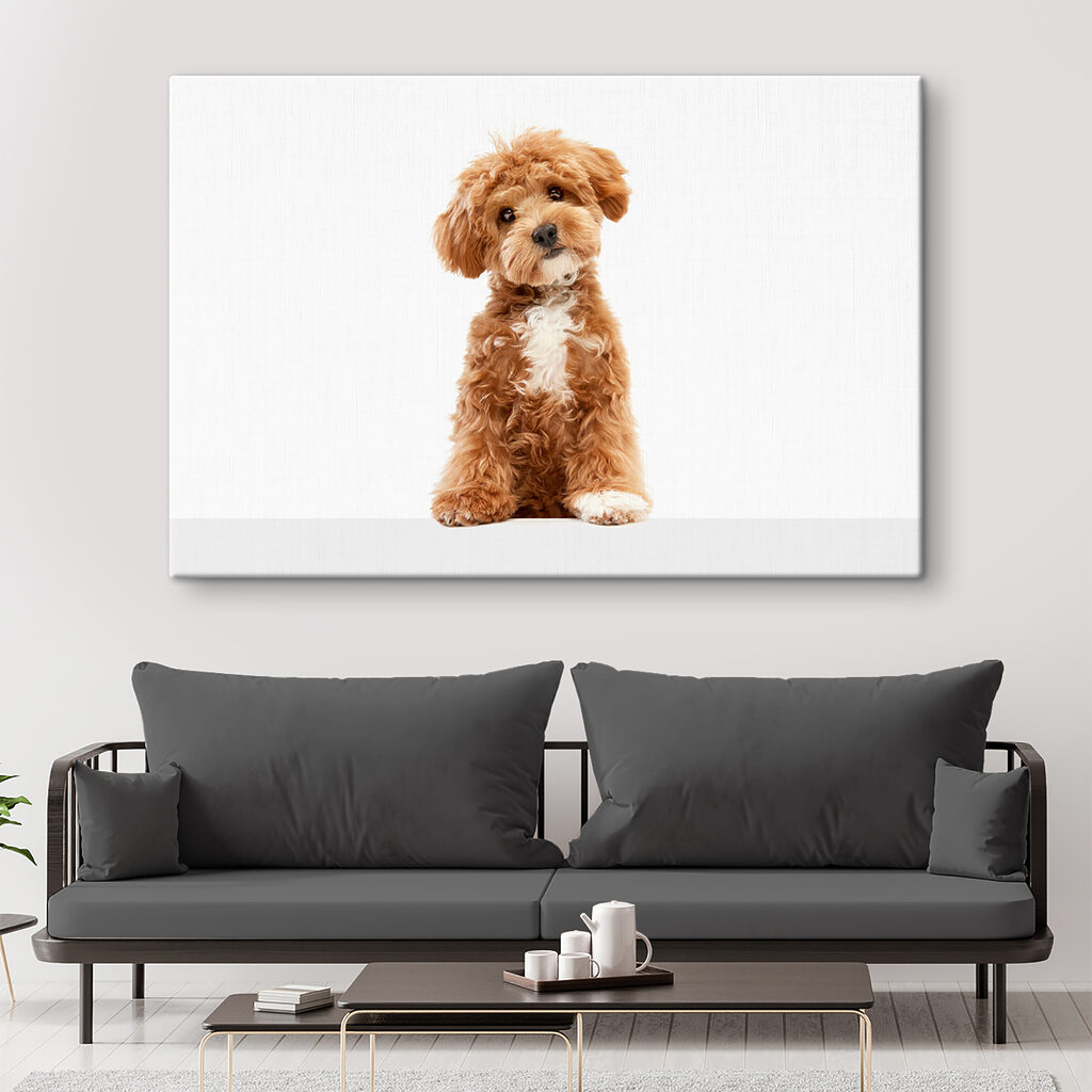 A dog sitting on a white surface