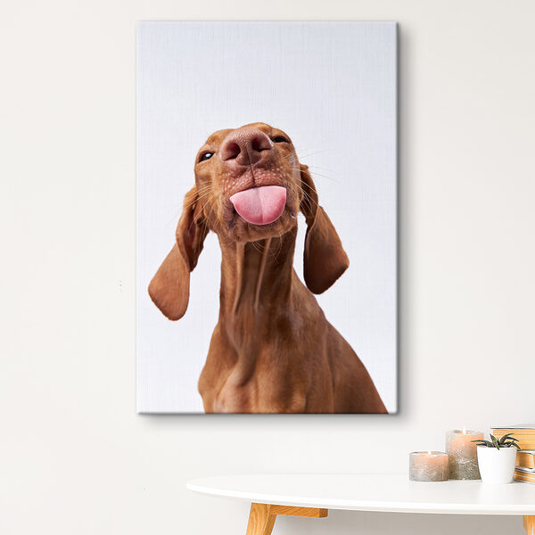 Cuadros Un perro sacando la lengua (SKU: s37751) Cuadros Cuadros Un perro sacando la lengua (SKU: s37751)