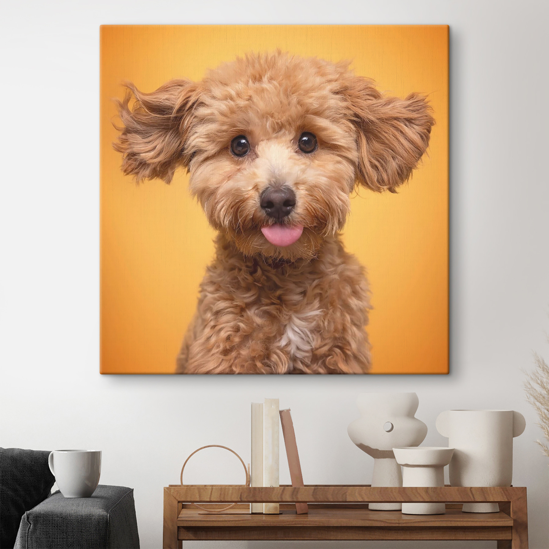 A dog with its tongue out A dog with its tongue out