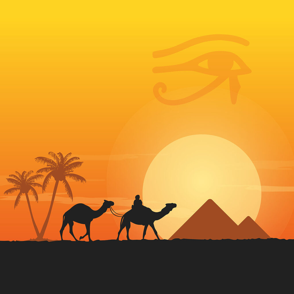 A camels and palm trees in front of a sunset A camels and palm trees in front of a sunset