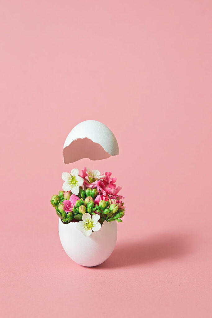 A flower in an egg shell A flower in an egg shell