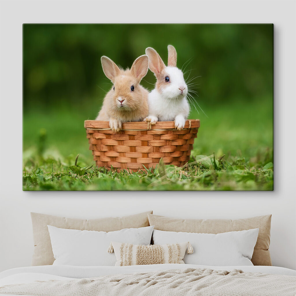 Two bunnies in a basket