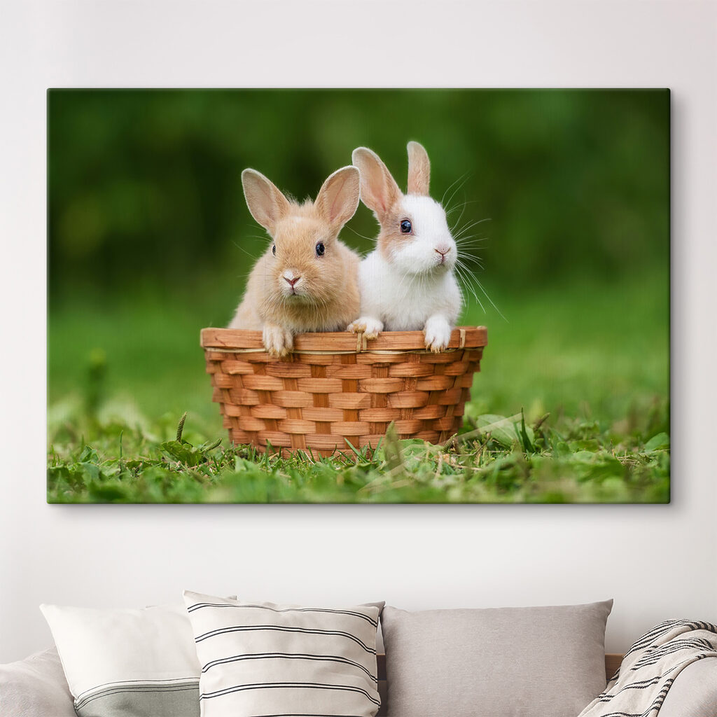 Two bunnies in a basket