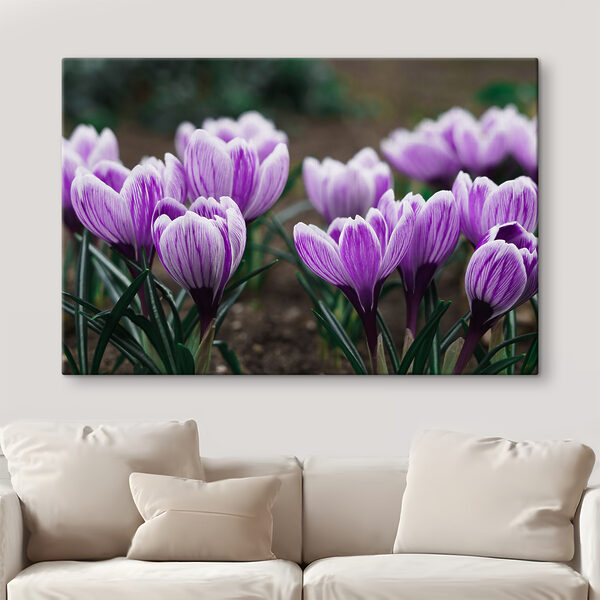 A group of purple flowers