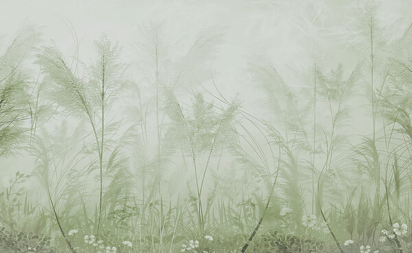 A foggy field of grass A foggy field of grass