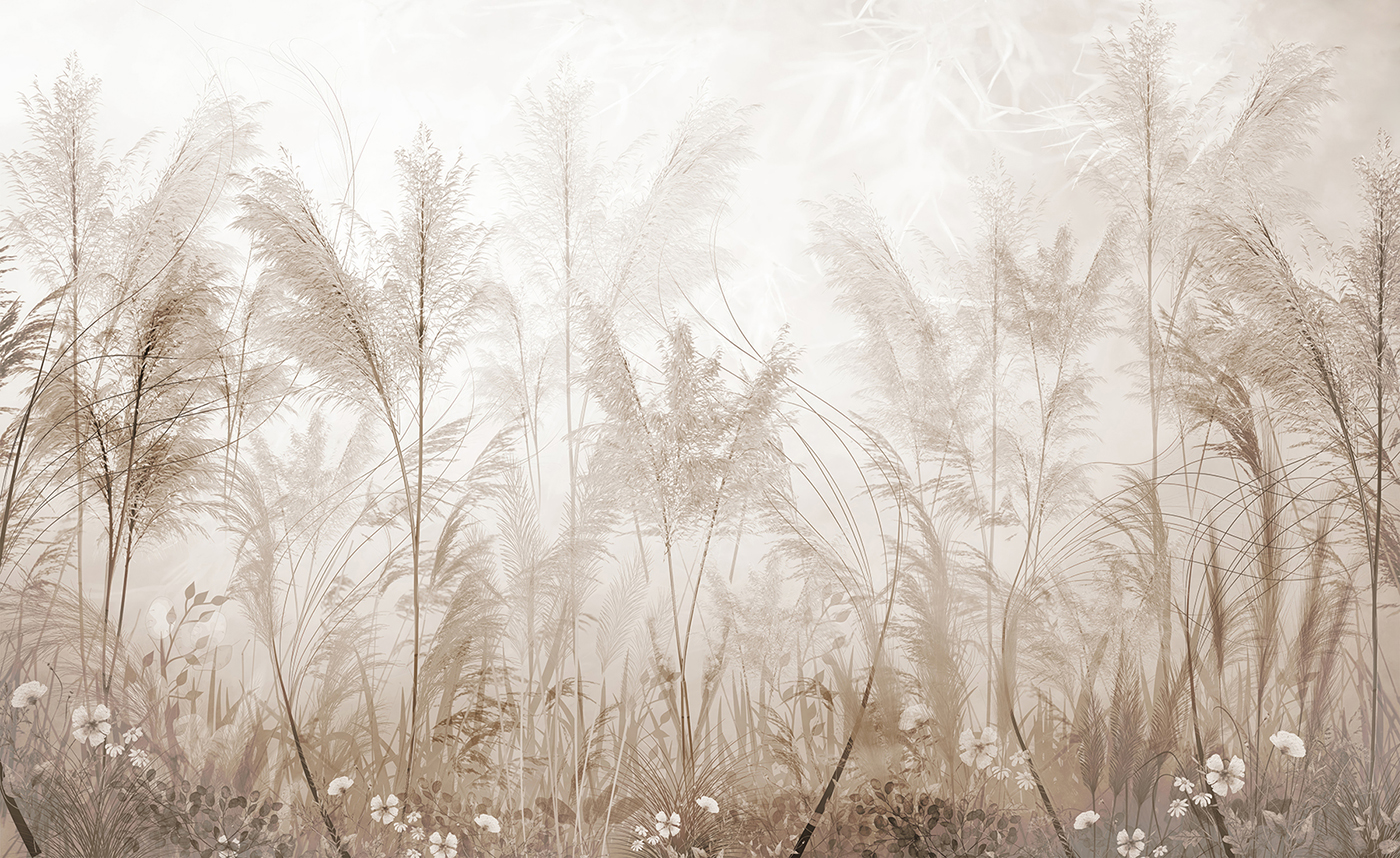 Field of grass with flowers Field of grass with flowers
