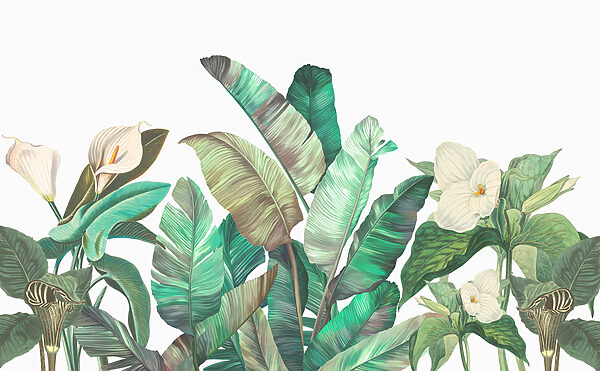 A group of tropical plants
