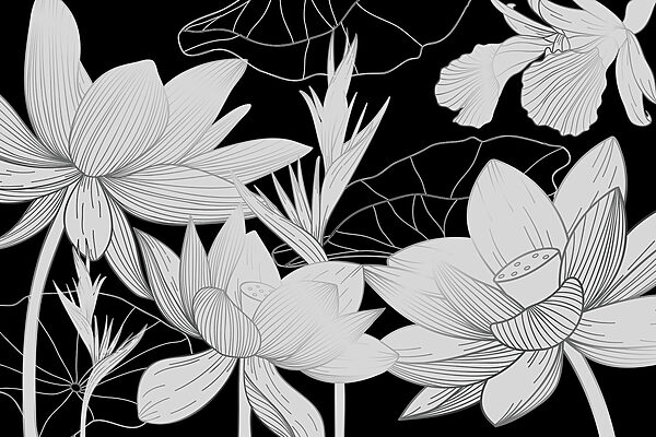 Un primer plano de flores Un primer plano de flores