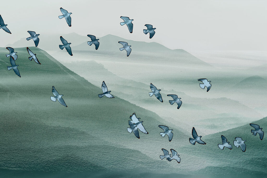 A flock of birds flying over a mountain
