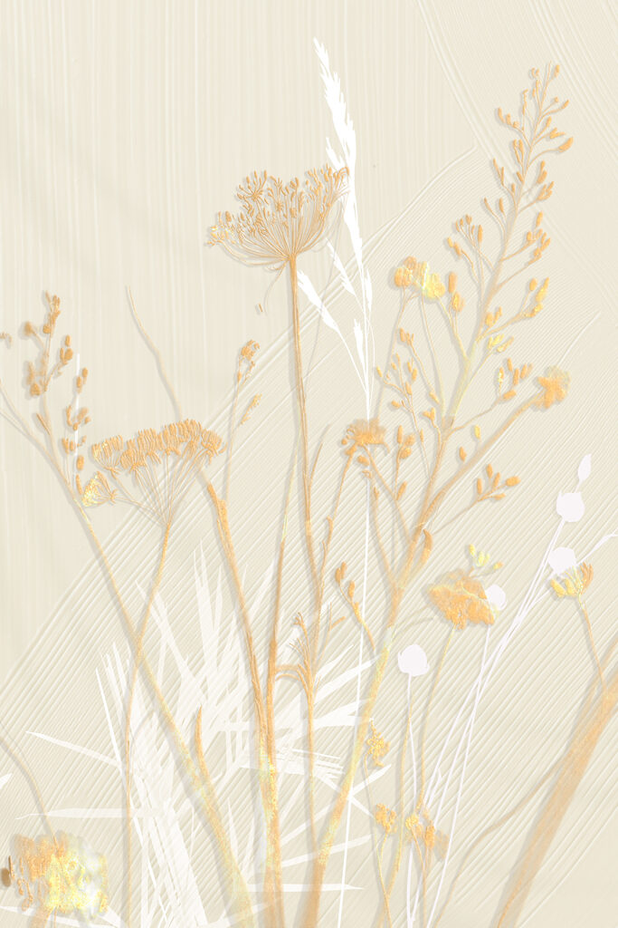A close up of flowers