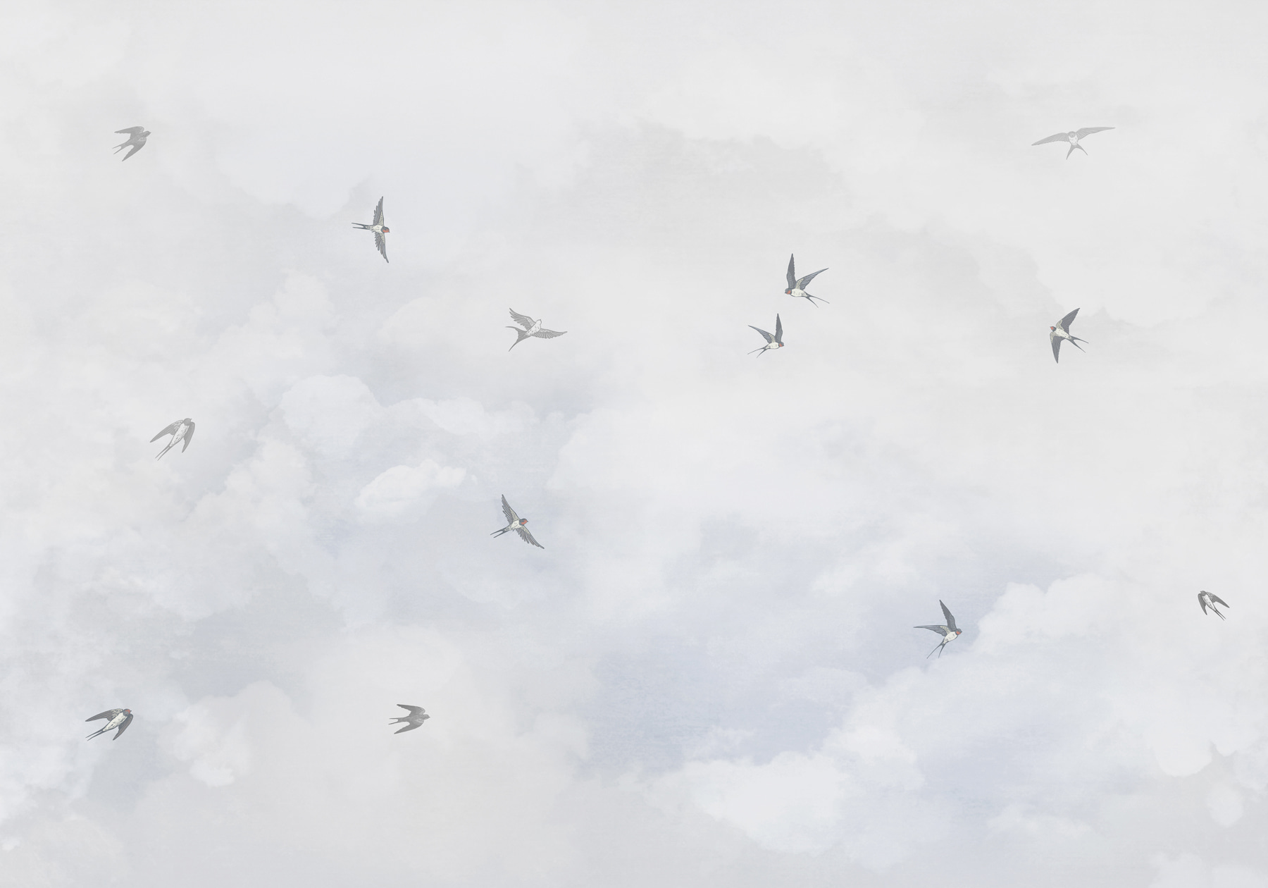 w00526p - Un grupo de pájaros volando en el cielo - tegory