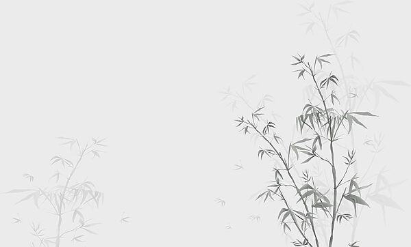 w00546v1p 600x362 - Una planta con hojas - tegory